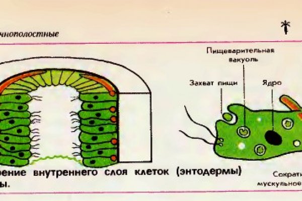 Не приходят деньги на кракен