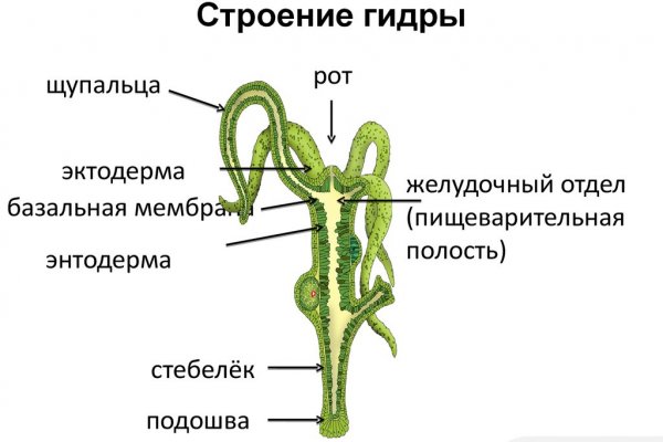 Кракен переходник ссылка