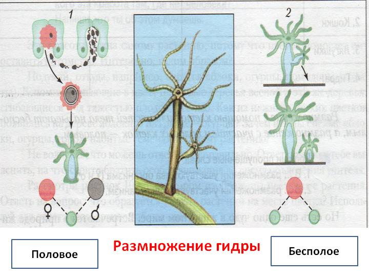 Как зайти на kraken в 2024